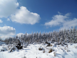 Zimní přechod přes Novohradské hory